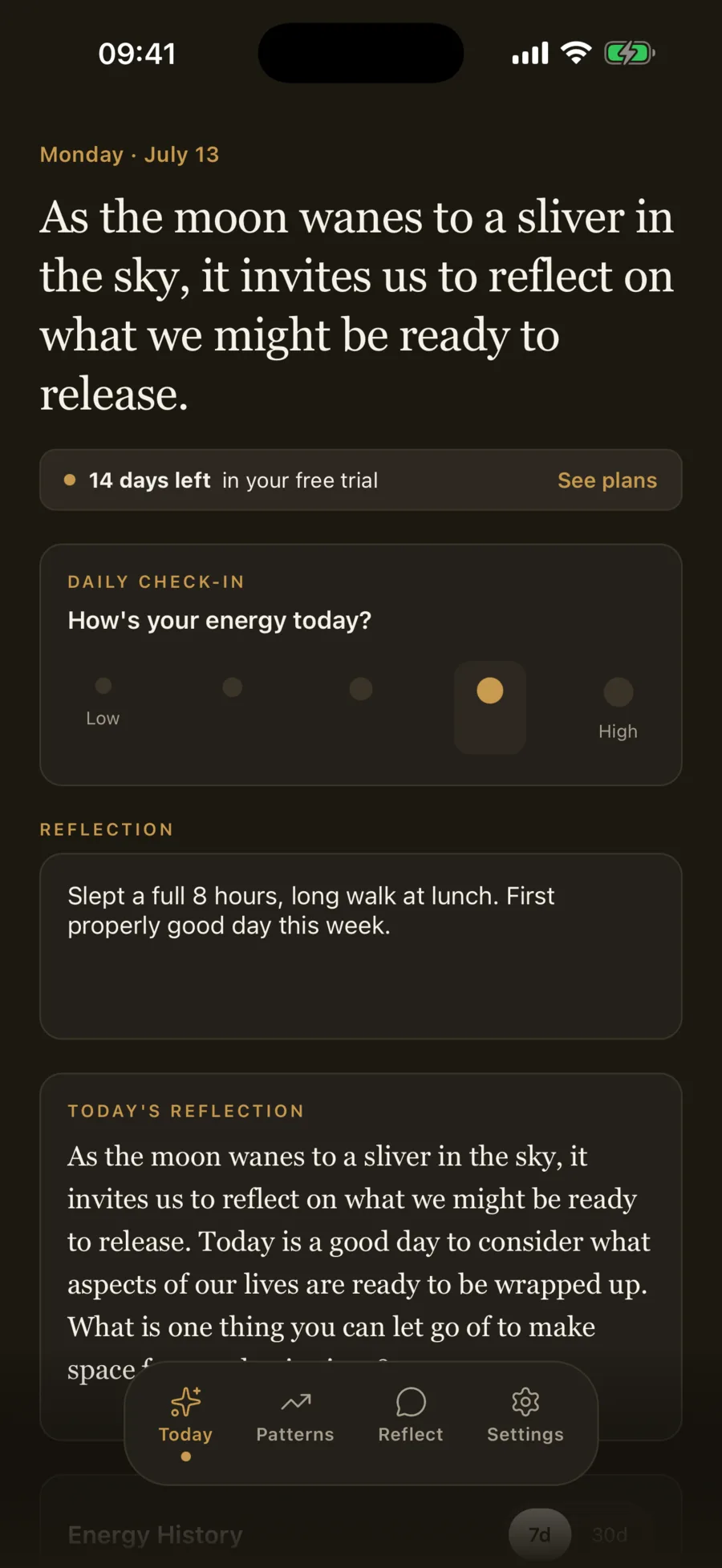Today screen: energy check-in, one-line journal and today's reflection